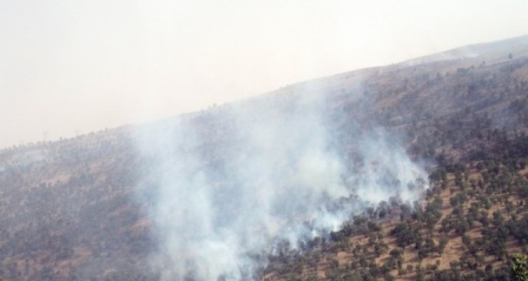 مهار آتش سوزی جنگل های جنوبی اسلام آبادغرب پس از 7 ساعت جدال با آتش/ سوختن 5 هکتار از جنگل های انجیرک