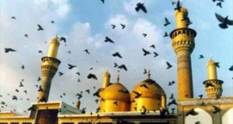 آگاهی تاریخی از زندگی و مكتب علمى جوادالائمه(ع)/ کرامات پیشوای نهم