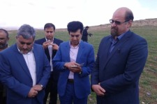 اشتغال مستقیم  250 نفر با ایجاد گلخانه هیدرو پونیک در اسلام آباد غرب