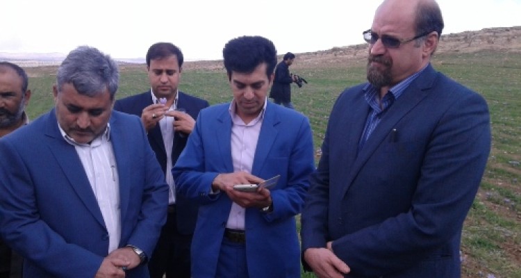 اشتغال مستقیم  250 نفر با ایجاد گلخانه هیدرو پونیک در اسلام آباد غرب