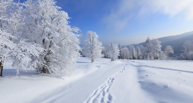 ترانه برف را با صدای بابک جهانبخش بشنوید 