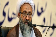 یک انسان عاقل و سیاستمدار در بین هیئت حاکمه آل سعود وجود ندارد/وحشت آل سعود از ایرانی ها،حج امسال را لغود کرد