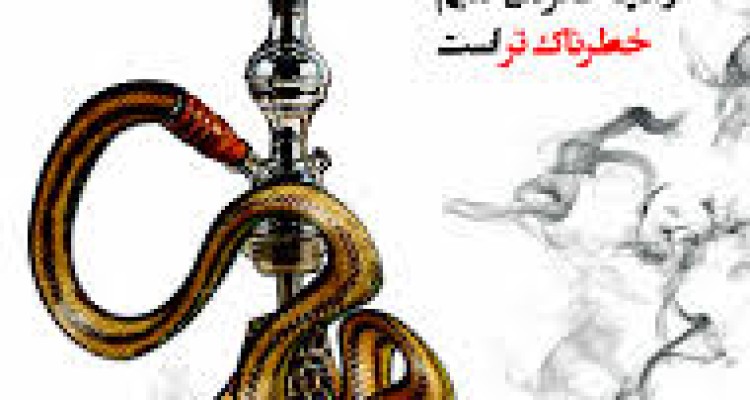 تاریخچه قلیان در ایران و جهان/ هر6 ثانیه مرگ یک انسان  