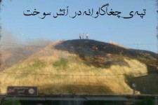 میراث اسلام آباد غرب در آتش سوخت! / لزوم توجه مسئولین به ساماندهی و زیباسازی چغاگاوانه