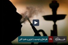 خط آزاد - هلو نعناع و دوسیب یا بنزین و حشره کش