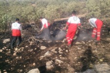 مهار آتش سوزی مراتع توسط نیروهای امدادی جمعیت هلال احمر اسلام آباد غرب 