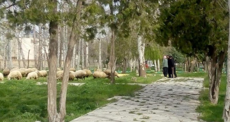 تكرار اشتباهات و فرصت هاي از دست رفته 