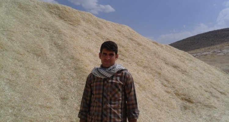 اجرای اقتصاد مقاومتی با جمع آوری کاه و کلش بی ارزش در اسلام آبادغرب