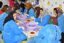 استفاده از داشته های خود مردم یک نوع اقتصاد مقاومتی است/ اشتغالزایی فصلی 40 نفر