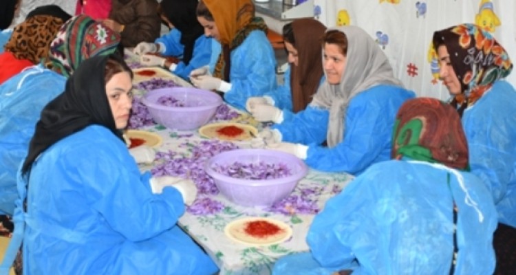 استفاده از داشته های خود مردم یک نوع اقتصاد مقاومتی است/ اشتغالزایی فصلی 40 نفر