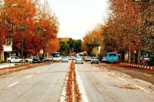 عکس/پاییز اسلام آبادغرب در قاب تصویر