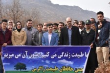  برگزاری جشن جنگلانه در اسلام آباد غرب+عکس