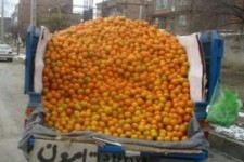 معظل این روزهای کوچه پس کوچه های اسلام آبادغرب !