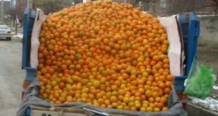 معظل این روزهای کوچه پس کوچه های اسلام آبادغرب !