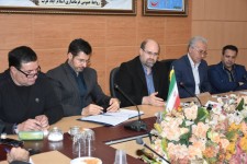 تولید 500 هزار اصله نهال در نهالستان اداره منابع طبیعی اسلام آبادغرب