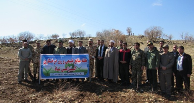 نهال کاری نیم هکتار از اراضی پادگان شهید حفیظی اسلام آبادغرب+تصاویر