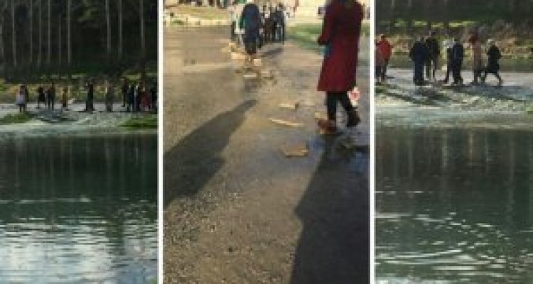 بخت طاقبستان از یک قدمی ثبت جهانی تا تبدیل شدن به باتلاقی برای گردشگران/ تاریخ در مرداب مدیریت سیاست زده