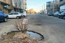 کاشت درخت در وسط خیابان در اعتراض به عملکرد شهرداری و شورای شهر اسلام آبادغرب