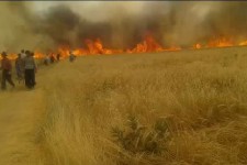 سند وعده های پوچ و بدقولی های دولت تدبیر/خاکستر ناامیدی در سفره کشاورزان اسلام آبادغرب