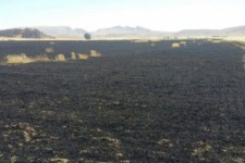 آتش سوزی در ۳۰ هکتار از مزارع گندم شهرستان سرپل ذهاب