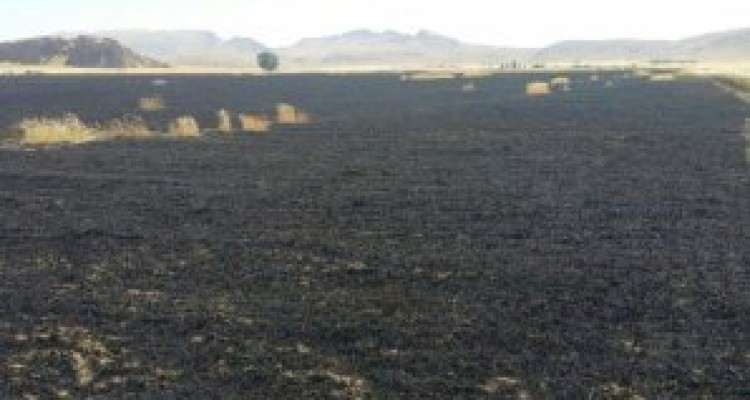 آتش سوزی در ۳۰ هکتار از مزارع گندم شهرستان سرپل ذهاب