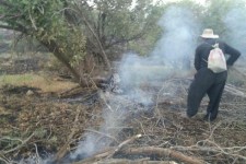 جزئیات آتش سوزی ارتفاعات جنگلی روستای باندر علیا در اسلام آبادغرب/مهار حریق با کمک نیروهای مردمی+تصاویر