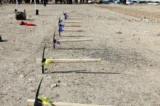 سرنوشت نامعلوم کلنگ های بی اعتبار /فلاحت پیشه:همه اش "نمایش" بود