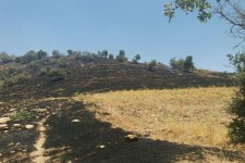 3 هکتار از مراتع و جنگل های بخش حمیل طعمه حریق شد+عکس