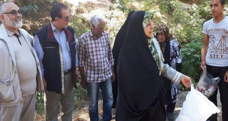 خانم ابتکار! سازمان را هم از مسئولان متخلف، پاکسازی کنید!