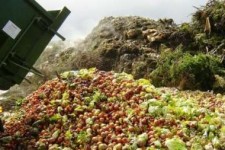 ایران رتبه نخست هدر رفت تولیدات کشاورزی در دنیا/ضایعات 30 درصدی محصولات متولی می طلبد 