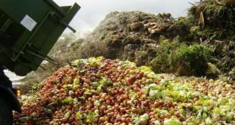 ایران رتبه نخست هدر رفت تولیدات کشاورزی در دنیا/ضایعات 30 درصدی محصولات متولی می طلبد 