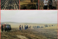 مهار آتش سوزی مزارع روستایی اسلام آبادغرب /حریق ۱۲۰ هکتار جار و ۴۰ هکتار گندم در بخش حمیل+تصاویر