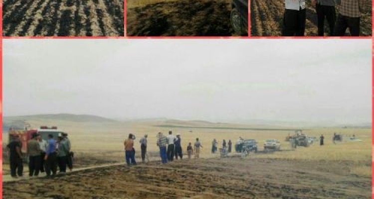 مهار آتش سوزی مزارع روستایی اسلام آبادغرب /حریق ۱۲۰ هکتار جار و ۴۰ هکتار گندم در بخش حمیل+تصاویر