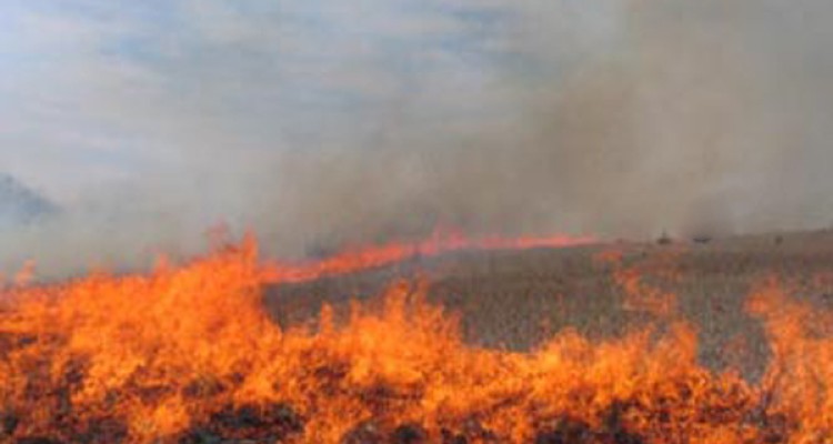 مهار آتش سوزی مزارع روستای چقاکبود اسلام آبادغرب/ سوختن 9 هکتار از مراتع و مزارع کشاورزی منطقه