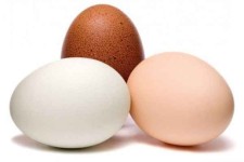 تخم مرغ هم به لیست سیاه خانوار پیوست!