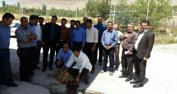 توزیع گوشت قربانی در بین ایتام ونیازمندان دالاهو+تصاویر