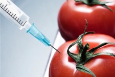 ممنوعیت کشت تراریخته در 38 کشور جهان/ تراریخته‌ها و تنگناها زیست‌محیطی و پزشکی+ جدول و نمودار