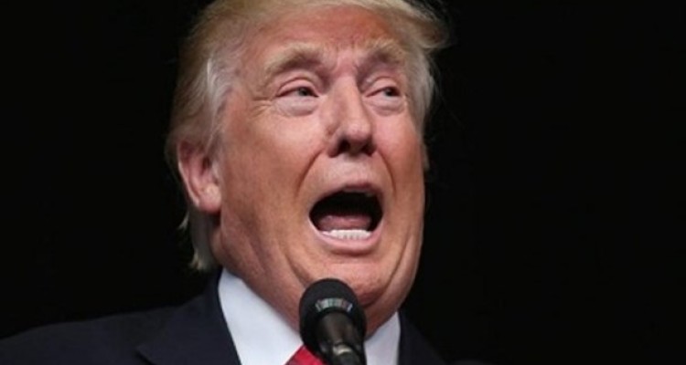 گربه رقصانی های یک دیوانه