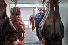 محرومیت ناعادلانه قطب تولید دام زنده از بازارهای صادراتی