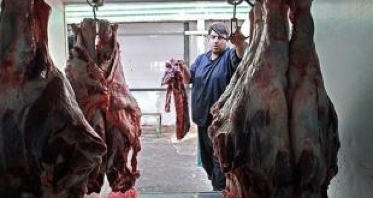 محرومیت ناعادلانه قطب تولید دام زنده از بازارهای صادراتی