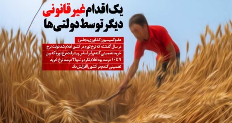 یک اقدام غیرقانونی دیگر توسط دولتی ها در حوزه واردات/ کشاورزان ضرر می کنند، دولت گندم وارد می کند!/ بهانه عجیب دولتی ها برای توجیه واردات گندم به کشور