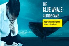 تلف شدن نهنگ ها پشت ساحل گوشی های هوشمند/ علت نامگذاری نهنگ آبی را بدانید!