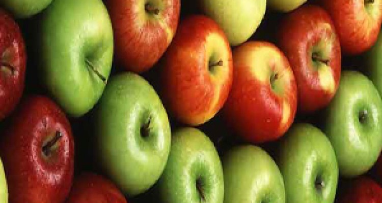 رها کردن صدها تن سیب در کنار جاده‌ای در ارومیه + فیلم 