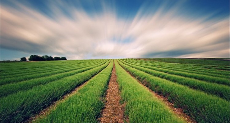 توصیه‌های هواشناسی به کشاورزان برای ۶ روز آینده 