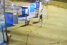 تصادف یک مرد با خودرو در عوارضی + فیلم 