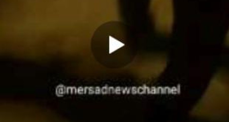 آشوبگرها همچنان مخل مطالبات و آرامش مردم/ اغتشاش زباله ای + فیلم و عکس