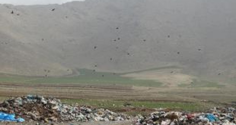 طبیعتی که زباله آن را متعفن کرده است + عکس