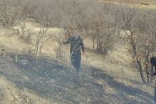 جزئیات مهار آتش سوزی جنگل های حومه شمالی اسلام آبادغرب/ تقدیر دادستان شهرستان از تلاش نیروهای مردمی  +تصاویر