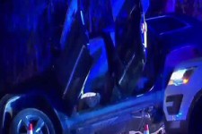 تضاهرات « همه ما بیژن هستیم » در آمریکا + فیلم 