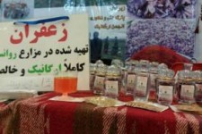 خواهرانی که در روانسر زعفران ارگانیک تولید می کنند